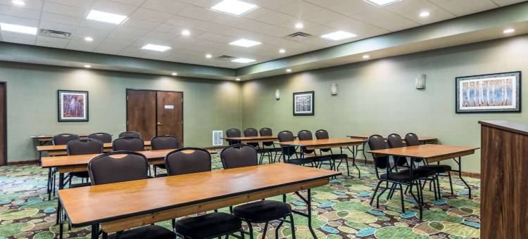 汉尼拔舒适套房酒店(Comfort Inn & Suites - Hannibal)图片