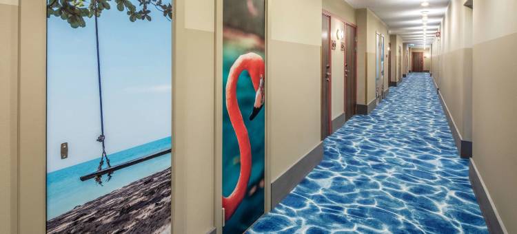 高的礁石品质酒店(Quality Hotel the Reef)图片