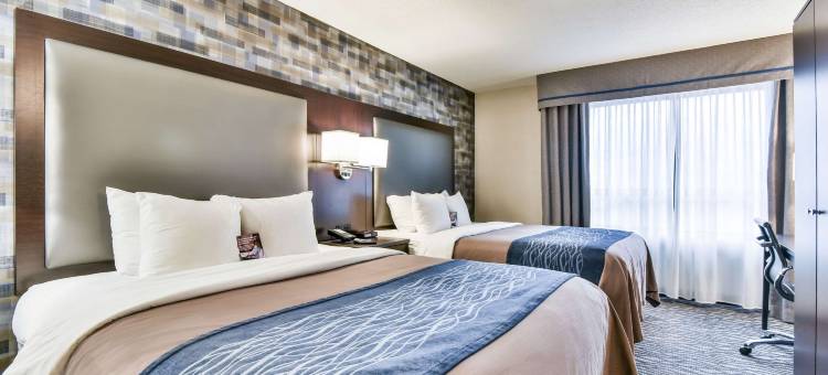 机场北舒适酒店(Comfort Hotel Airport North)图片