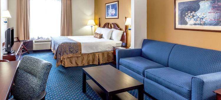 Wingate by Wyndham Atlanta/Six Flags Austell图片