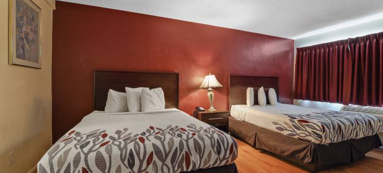 针城红顶酒店(Red Roof Inn Needles)图片