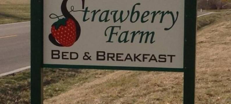 草莓农场家庭旅馆(Strawberry Farm B and B)图片