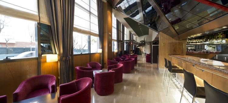 克里索维亚卡斯特拉纳酒店(Crisol Vía Castellana)图片
