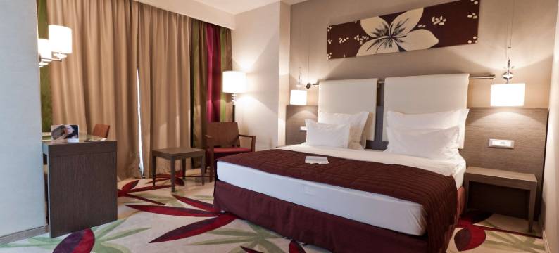 金色郁金香安娜圆顶酒店(Golden Tulip Ana Dome Cluj)图片