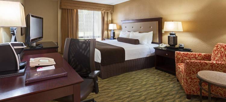 Crowne Plaza 杰克逊维尔机场(Crowne Plaza JACKSONVILLE AIRPORT/I-95N by IHG)图片