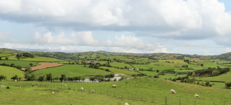 潘布莱恩蓝酒店(PEN Bryn Llan)图片