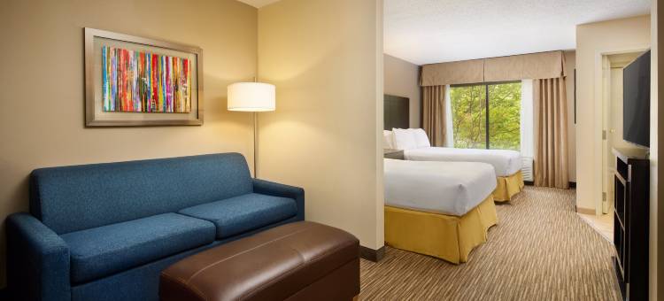 阿尔普哈雷塔智选假日酒店(Holiday Inn Express & Suites Alpharetta - Windward Parkway)图片