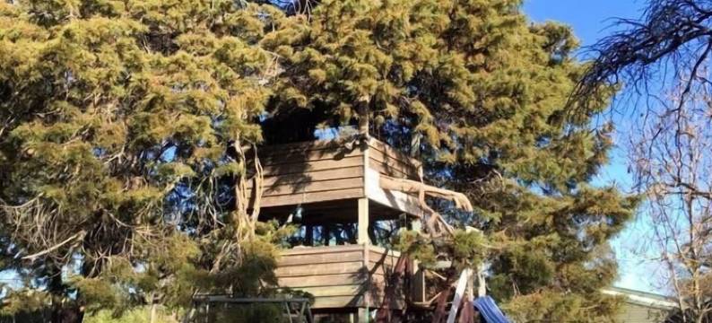 塔拉代尔庄园酒店(Taradale House Estate)图片