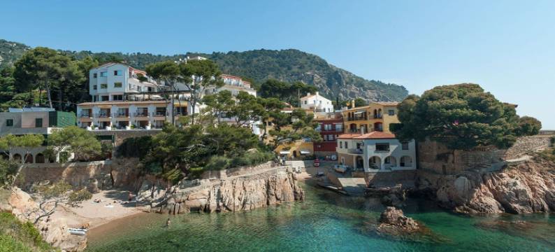 蓝水酒店(Hotel Aigua Blava)图片