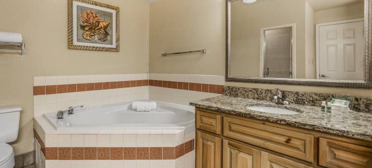 Holiday Inn & Suites 清水湾泳滩南(Holiday Inn & Suites CLEARWATER BEACH S-HARBOURSIDE by IHG)图片