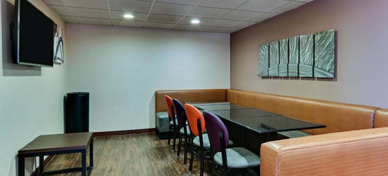 圣安东尼奥机场德鲁里广场酒店(Drury Plaza Hotel San Antonio Airport)图片