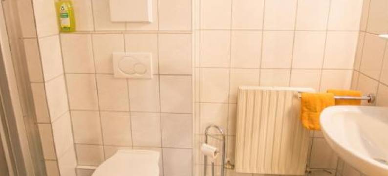 伯格霍夫乌特姆斯公寓(Bergbauernhof Untermoos)图片