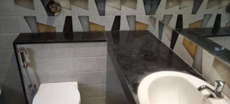 马亨德拉酒店(Hotel Mahendra)图片