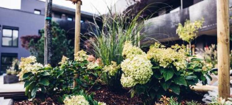 Alp Living Apartments Self-Check IN图片