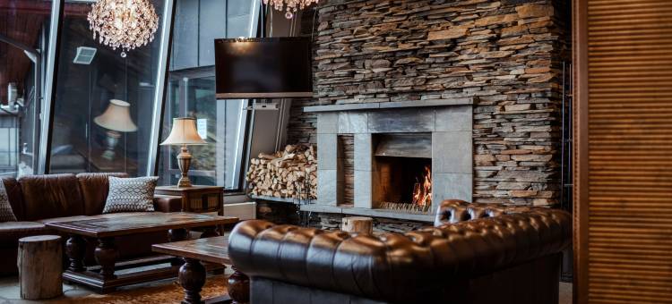 拉普兰萨迦酒店(Lapland Hotels Saaga)图片