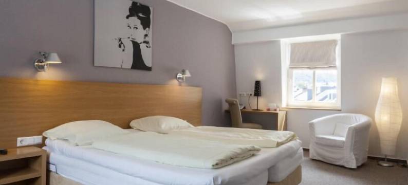 维克多雨果餐厅酒店(Hôtel - Restaurant " Victor Hugo")图片