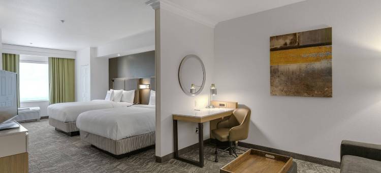 萨克拉门托纳多马斯万豪SpringHill酒店(SpringHill Suites Sacramento Natomas)图片