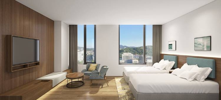 希尔顿花园酒店首尔江南(Hilton Garden Inn Seoul Gangnam)图片