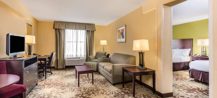 Holiday Inn 格尼的会展中心(Holiday Inn Chicago North - Gurnee)图片