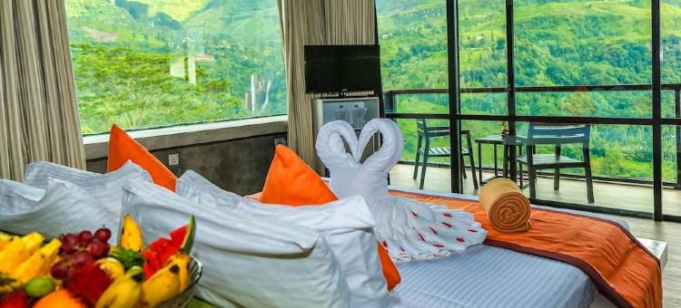 橡光茶语山居(Oak Ray Tea Bush)图片