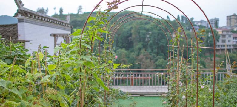 兜ly公寓(河西路分店)图片