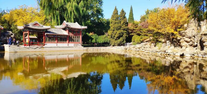 喆啡酒店(北京首都儿研所朝阳门店)图片