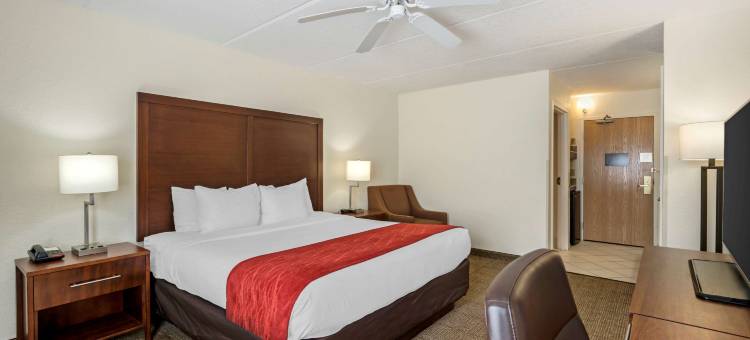 基西米-南布埃纳文图拉湖舒适酒店(Comfort Inn Kissimmee-Lake Buena Vista South)图片