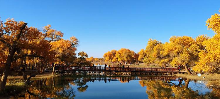 胡杨的秋天公寓(军民街分店)图片