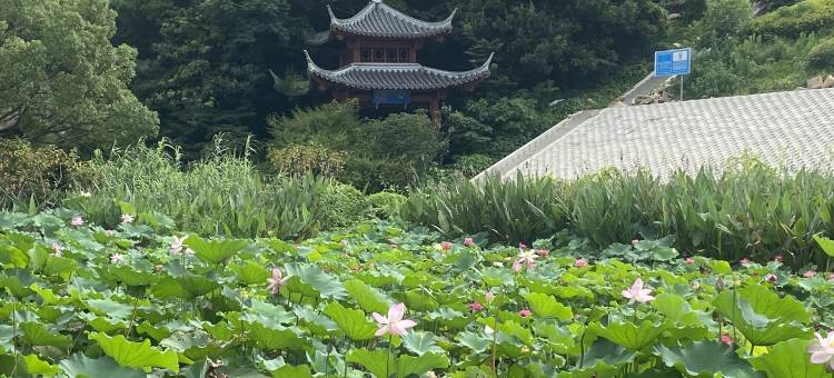 普陀山禅缘客栈图片
