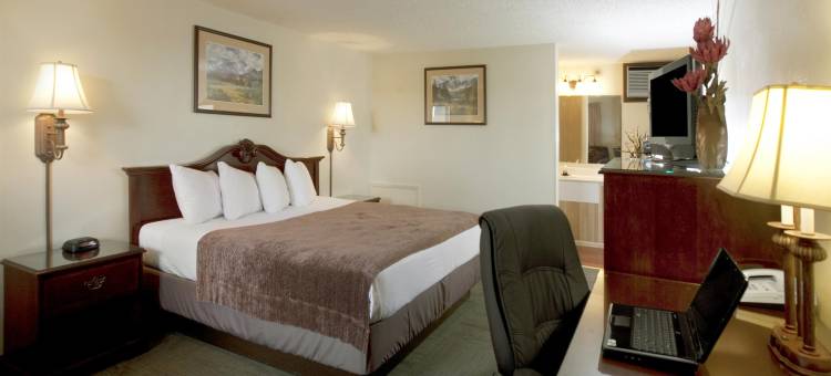 涛驰莱德贝斯特韦斯特酒店(Best Western Torchlite)图片