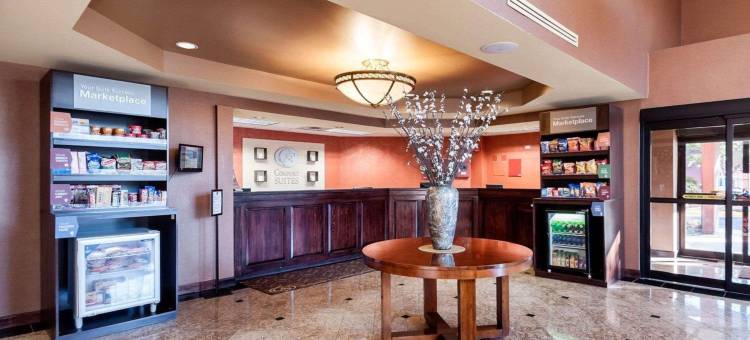 达勒斯机场舒适套房酒店(Comfort Suites Dulles Airport)图片