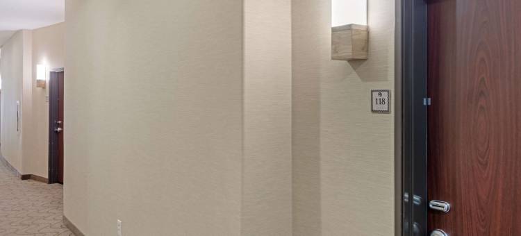 舒适套房酒店-西达拉斯科克雷尔山(Comfort Suites West Dallas - Cockrell Hill)图片