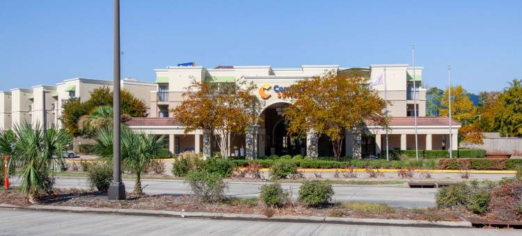 康福特套房巴吞鲁日南部I-10(Comfort Suites Baton Rouge South I-10)图片