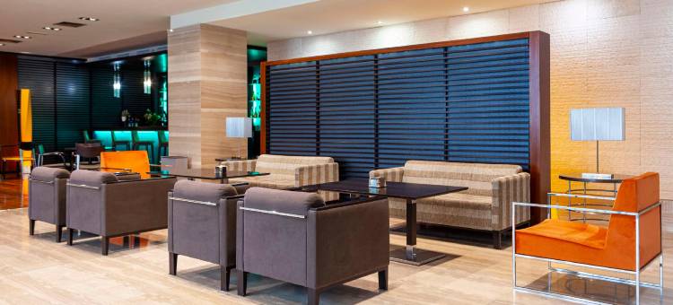 马西亚阿尔罕布拉皇宫酒店(Hotel Macià Real de La Alhambra)图片