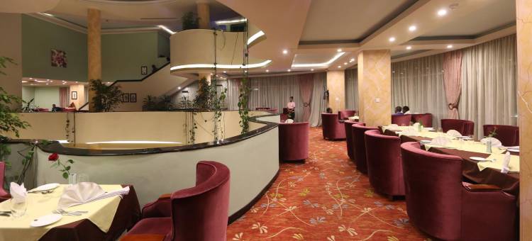 埃利国际酒店(Elilly International Hotel)图片