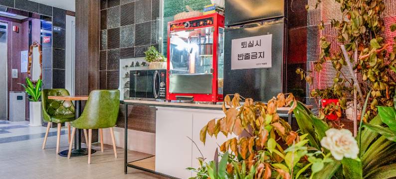 杨州卡拉(Yangju Kara)图片