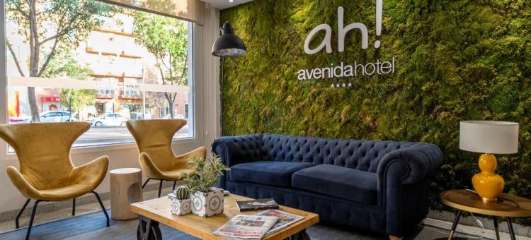 阿维尼达酒店(Avenida Hotel)图片