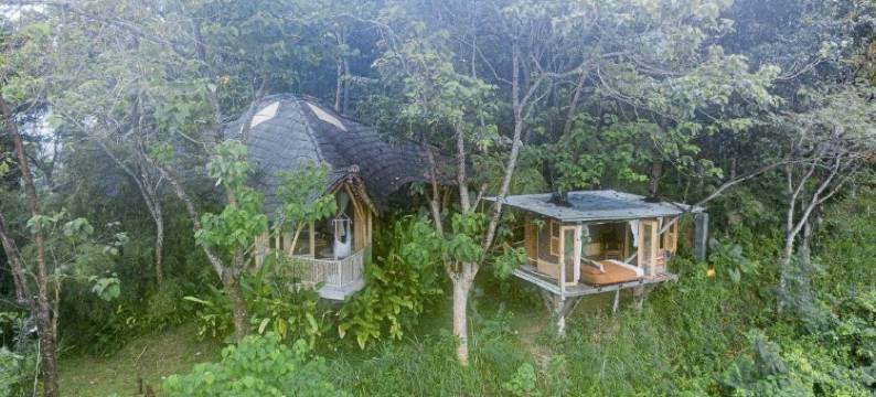 Bird Hills Bamboo House图片