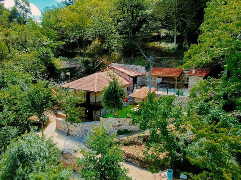 隐秘之家阿维加