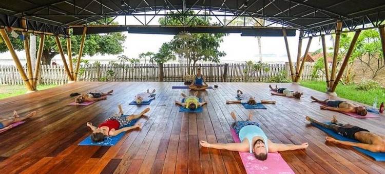 鲸鱼和波浪(Whales and Waves)图片