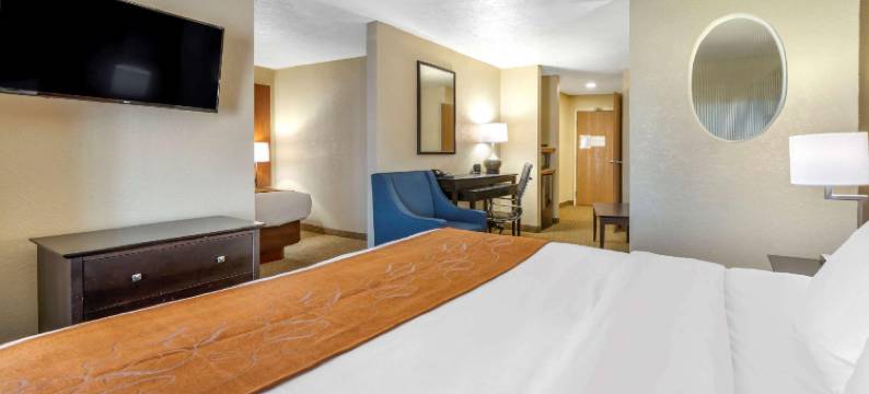 梅里尔维尔舒适套房酒店 - 近 US 30(Comfort Suites Merrillville Near US 30)图片