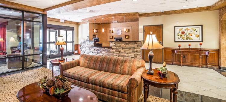 拉斯维加斯亨德森舒适套房酒店(Comfort Inn & Suites Henderson - Las Vegas)图片