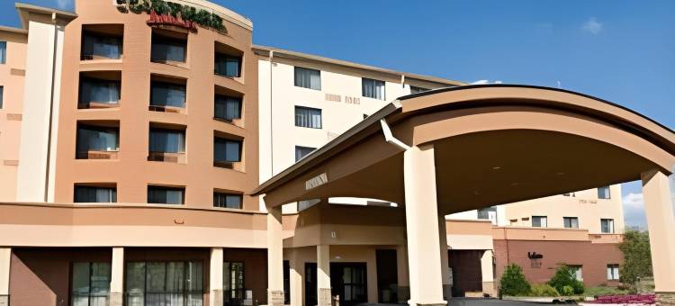 亚特兰大麦克多诺万怡酒店(Courtyard Atlanta McDonough)图片