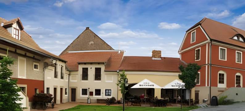 霍夫曼斯特庭院酒店(Hotel Dvur Hoffmeister)图片