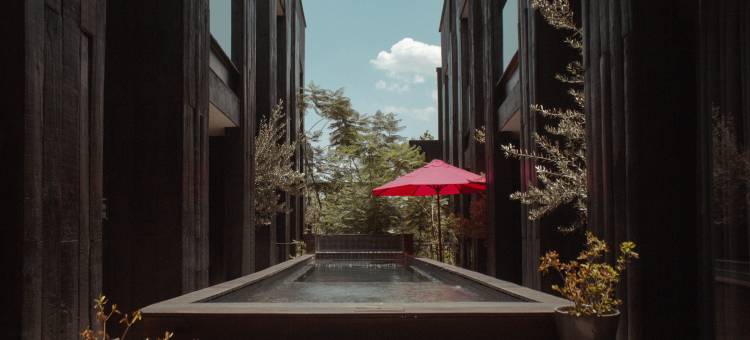 莱昂柯布艾琳娜酒店 - 设计酒店会员(Elena de Cobre, Leon, a Member of Design Hotels)图片