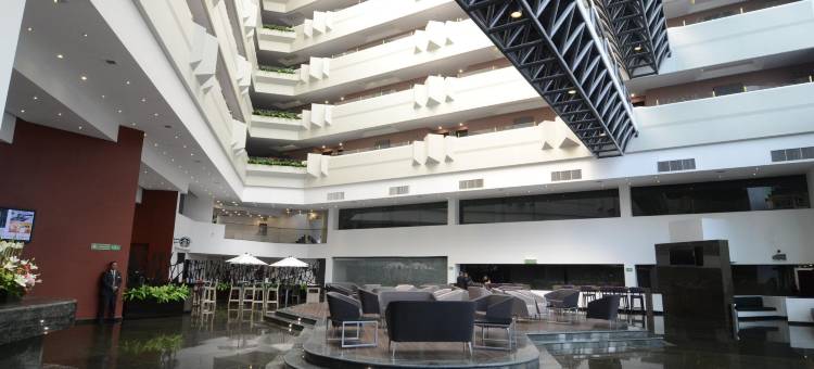 Holiday Inn 墨西哥城大理机场(Holiday Inn MEXICO DALI AIRPORT by IHG)图片