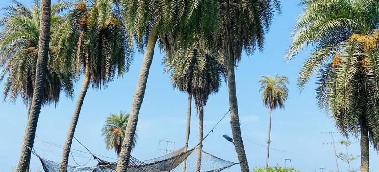 Palm Beach Resort图片