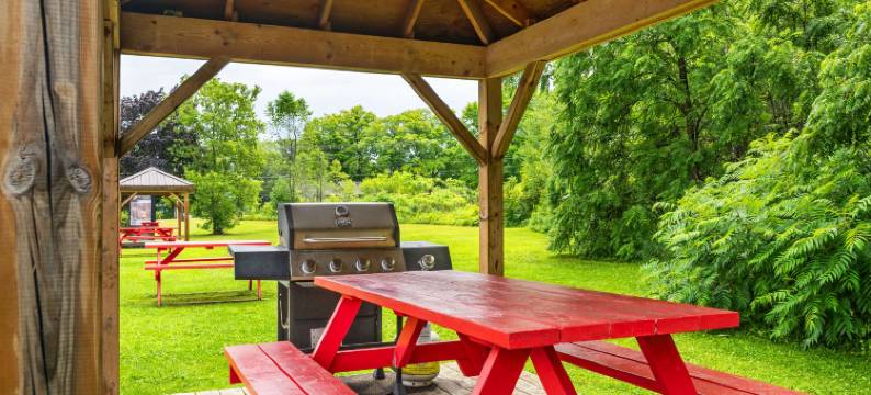 舒适酒店(Comfort Inn Midland)图片