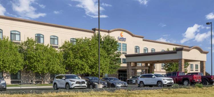 杰罗姆舒适套房酒店-双子瀑布(Comfort Inn & Suites Jerome - Twin Falls)图片