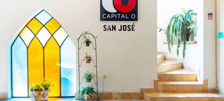 Capital O 酒店 圣何塞，圣路易斯波托西(Capital O San Jose, San Luis Potosi)图片
